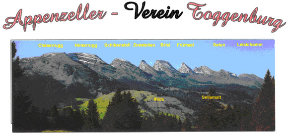 Blick ins Oberengadin